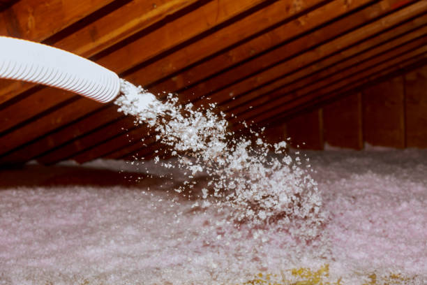 Best Commercial Insulation in Tiger Point, FL