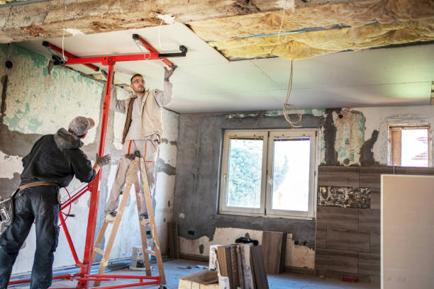 Best Insulation Maintenance and Repair in Tiger Point, FL
